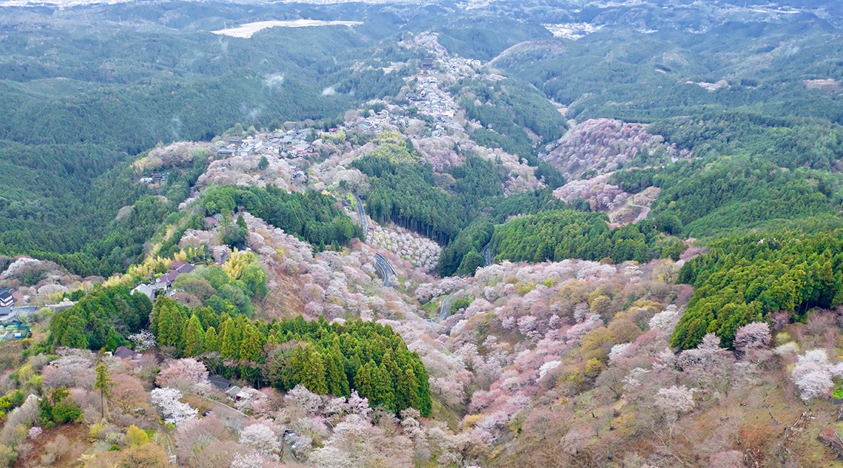 「奥大和」と呼ばれる地域