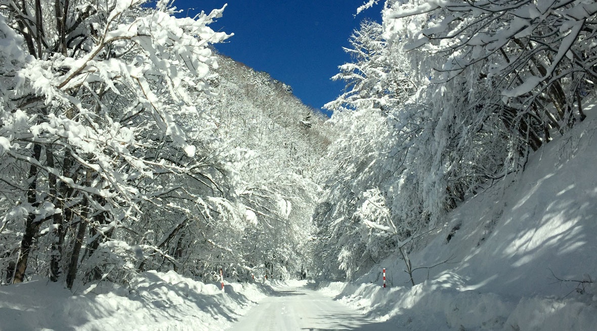 岩手県岩泉市