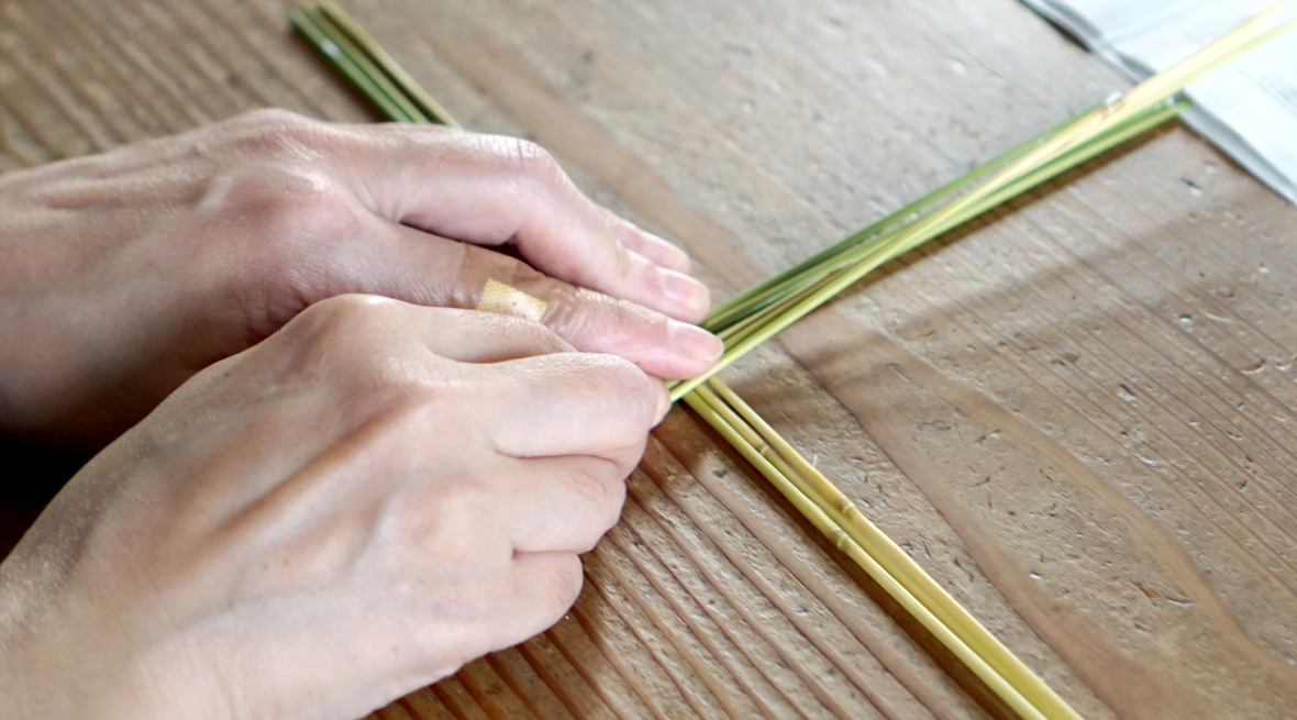 次に1番の特長である、甲羅の部分を作ります